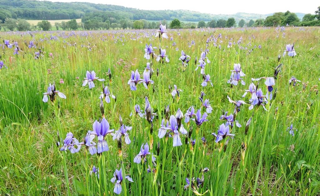 weinidylle-naturpark