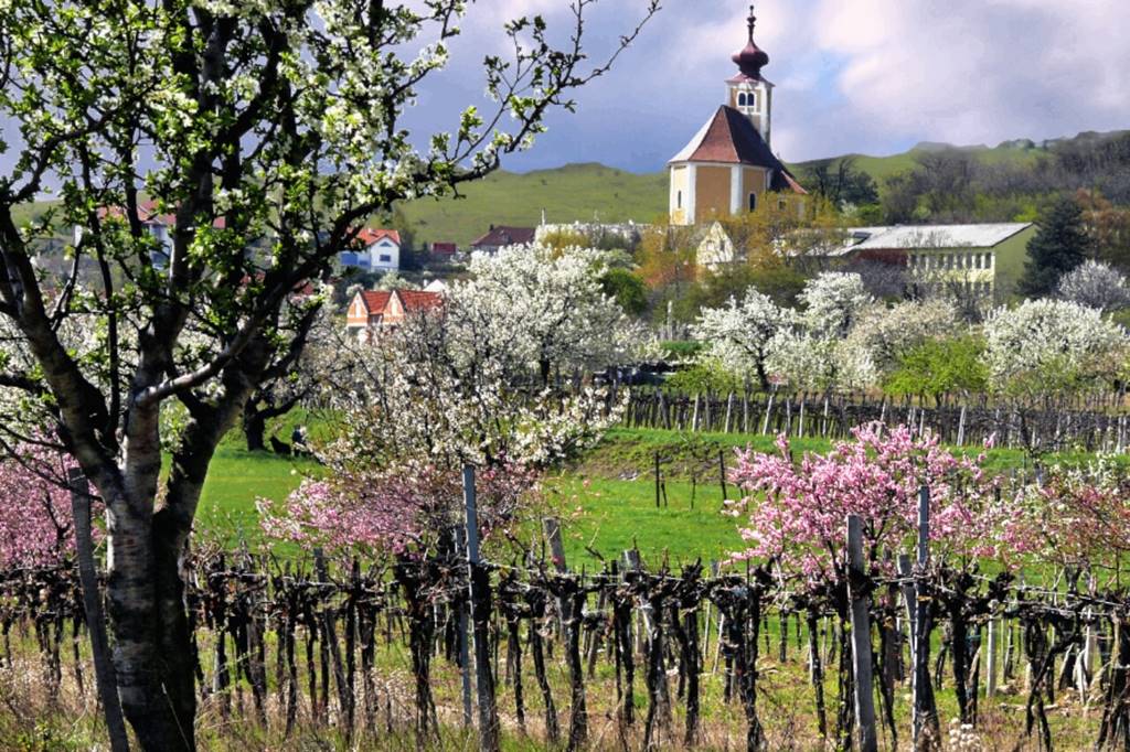 kerekpartura-burgenland